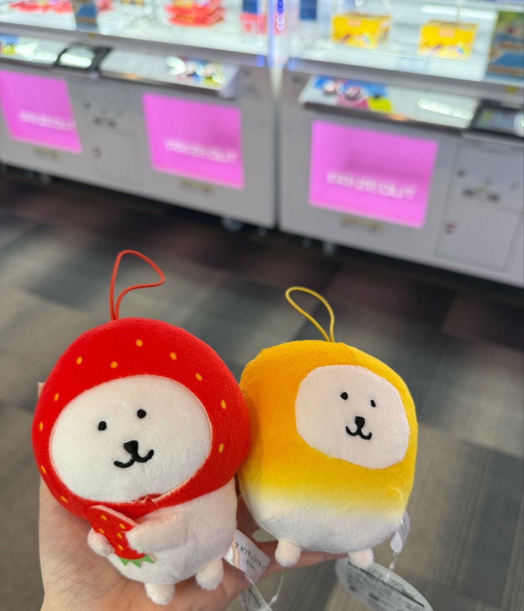 _nemu__ny's tweet photo. 収穫🧺 https://t.co/pqFNhU28zh