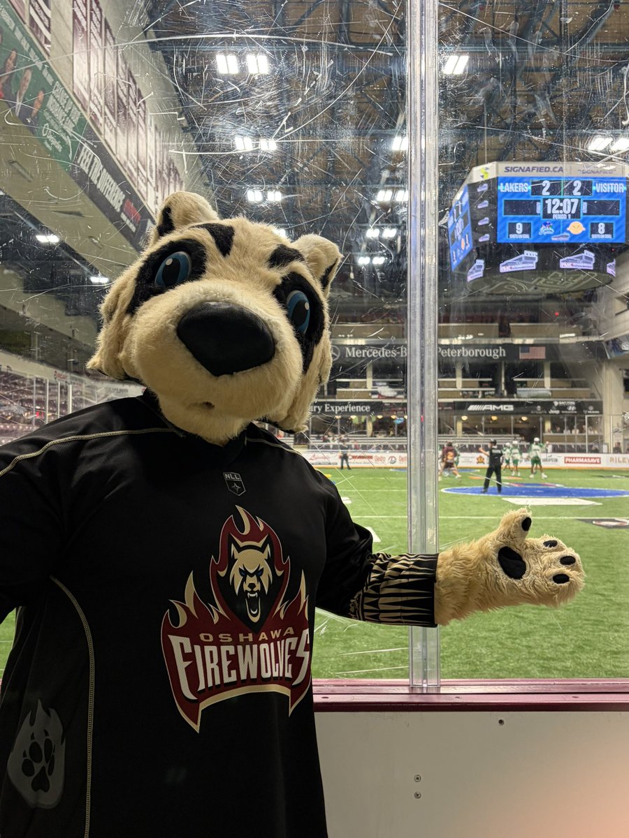 FireWolvesNLL's tweet photo. Alphie had a blast at last night’s @PtboJrLakers game!  

Thanks for having us, Lakers!

#LacrosseLivesHere🔥 https://t.co/UN5OGZvPNV