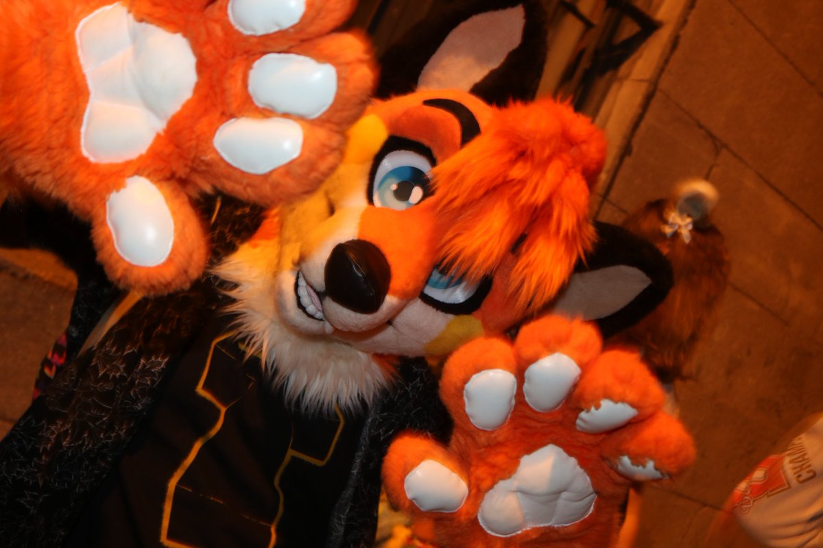 HamburgerFox's tweet photo. 🌌 Low-key aura farming and album art posing in the alleyway of the Old Port in MTL with wafflefursuits for this #fursuitfriday 

🦊📸: @ekgcosplay

#publicfursuiting #fursuiting #furry #fursuits https://t.co/BVNxODdSBO