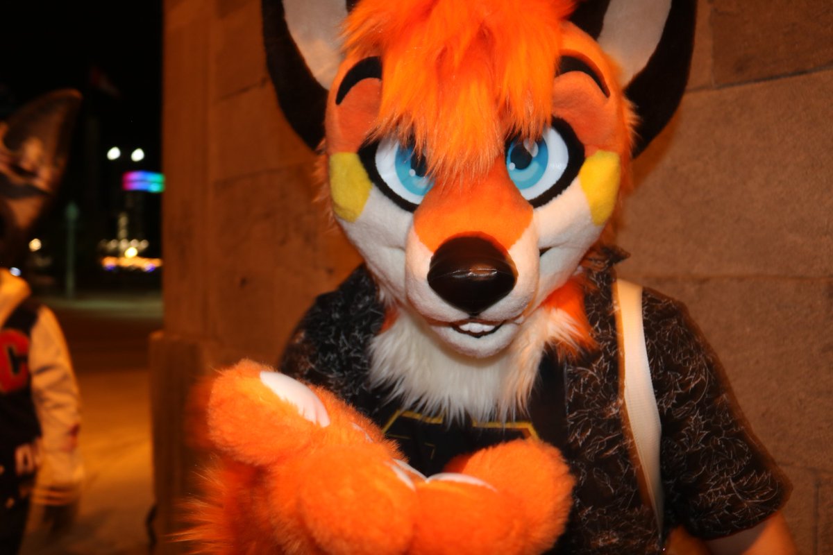 HamburgerFox's tweet photo. 🌌 Low-key aura farming and album art posing in the alleyway of the Old Port in MTL with wafflefursuits for this #fursuitfriday 

🦊📸: @ekgcosplay

#publicfursuiting #fursuiting #furry #fursuits https://t.co/BVNxODdSBO