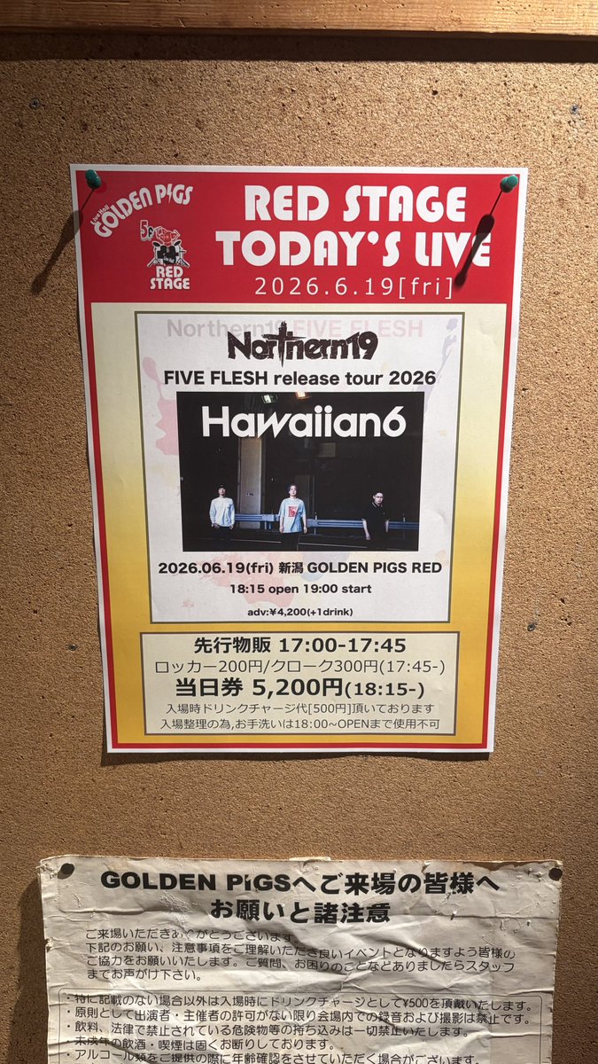 seok5luv's tweet photo. バおわ華金ライブ😻✨
新潟愛に溢れた日でめっちゃよかったー😭
いつか佐渡でノーザンハワイアンバクシンでフェスやってくださいの気持ち😻 https://t.co/Pa890TMxoL