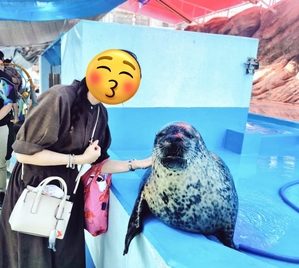 チャン腹🦦🦦🦦 tweet media