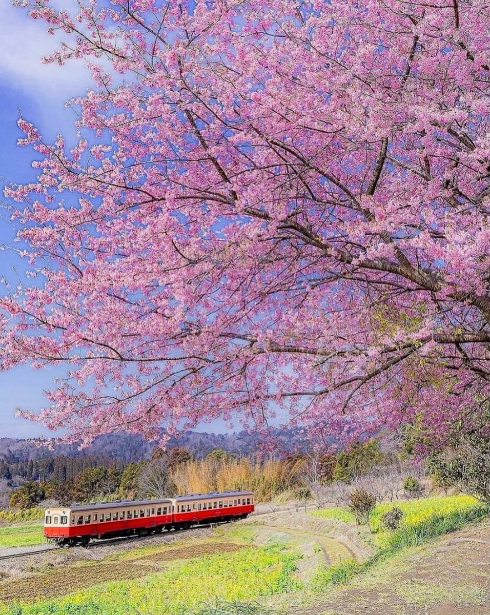 Fabiana54091377's tweet photo. #Japan #Korea #China https://t.co/K9hngJMK7j