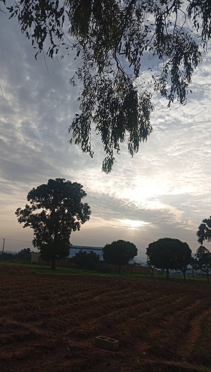 ElijahKesmen's tweet photo. plateau will rise 
   we will unite and fight this evil
We must unite as one voice together to heal our land we must act 
We have prayed after prayer action we will act, silence we refuse to be silent and watch evil rule 

#Unityalltheway
#plateau
#Nigerians https://t.co/xVqsQ35Mkr