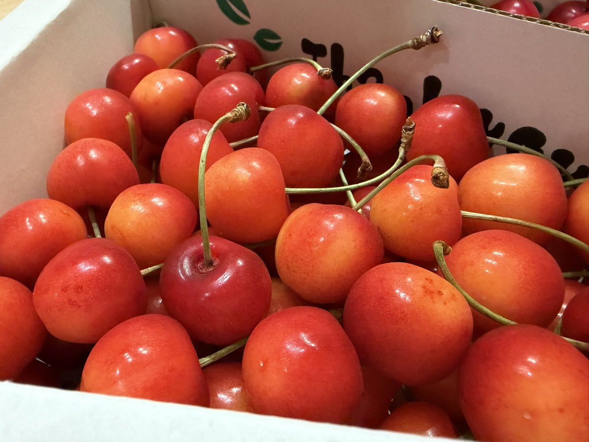 coco_21_'s tweet photo. 美味しいさくらんぼ🍒 https://t.co/bgU17iZkVO