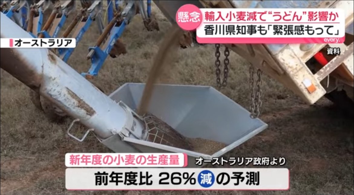 kagawan13's tweet photo. ニュースでやってたけど、今年はオーストラリアでの小麦生産量が去年より少なくなるらしい💦

今の円安状況下で、供給不足になれば、輸入小麦粉の値段が上がる💦
そうなれば、店側はうどんを値上げせざるを得ないことになりそう😫

国産の小麦粉「さぬきの夢」使ってる店も限られてるし… https://t.co/mMiW2tdCsX