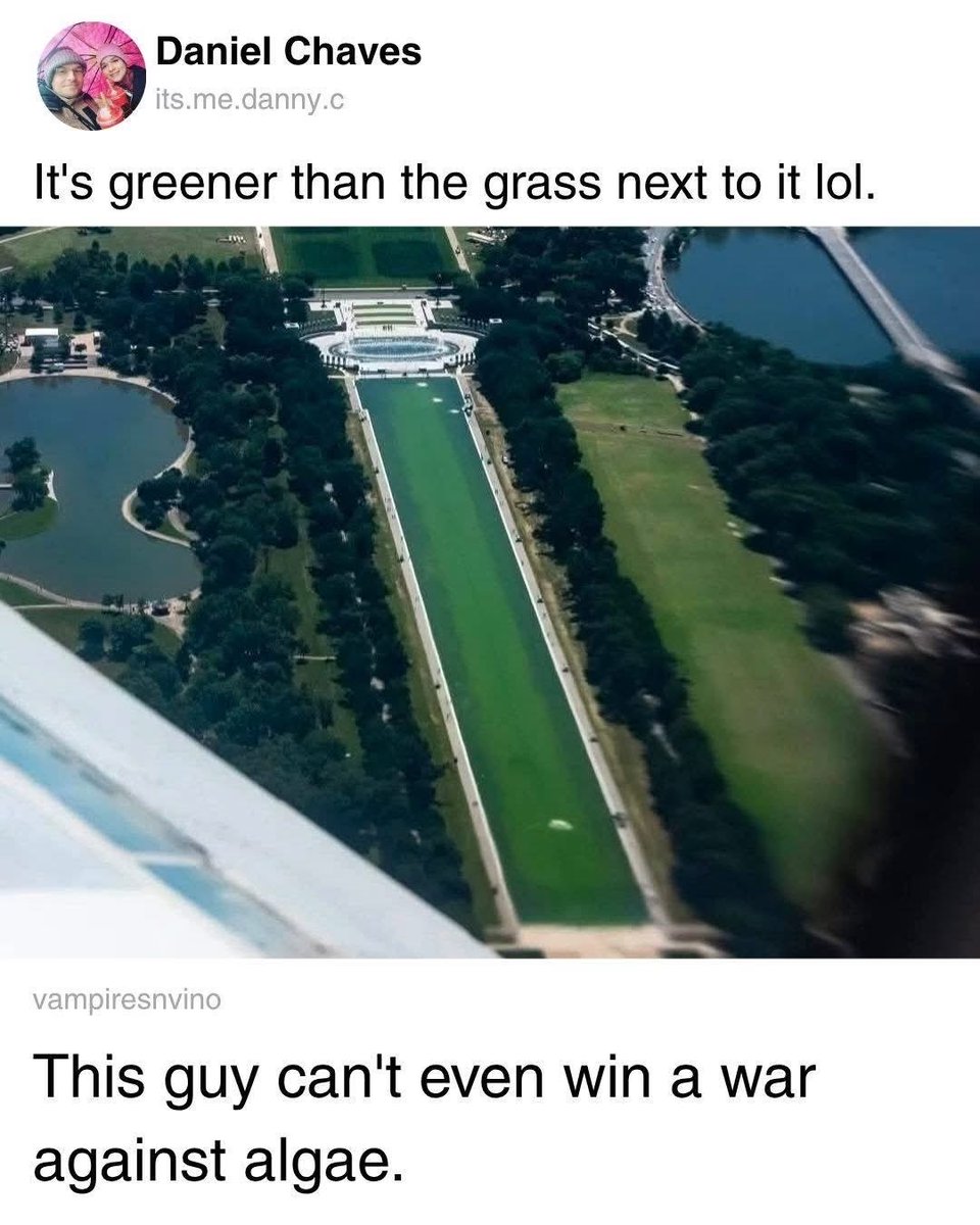 AnniFanni18's tweet photo. @ProjectLincoln Well, he did promise to “drain the swamp”. Didn’t say it’d be THIS… https://t.co/1xeOHwWC5U