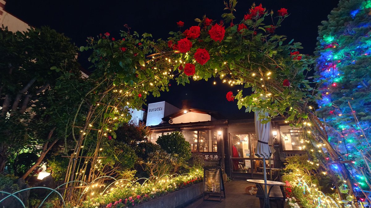 boyotei_toyako's tweet photo. 望羊蹄のエントランスの薔薇のアーチに花が咲きました。
夜に見るとイルミネーションの灯りと相まってまた別の美しさです。 https://t.co/AZNzRDcgHI