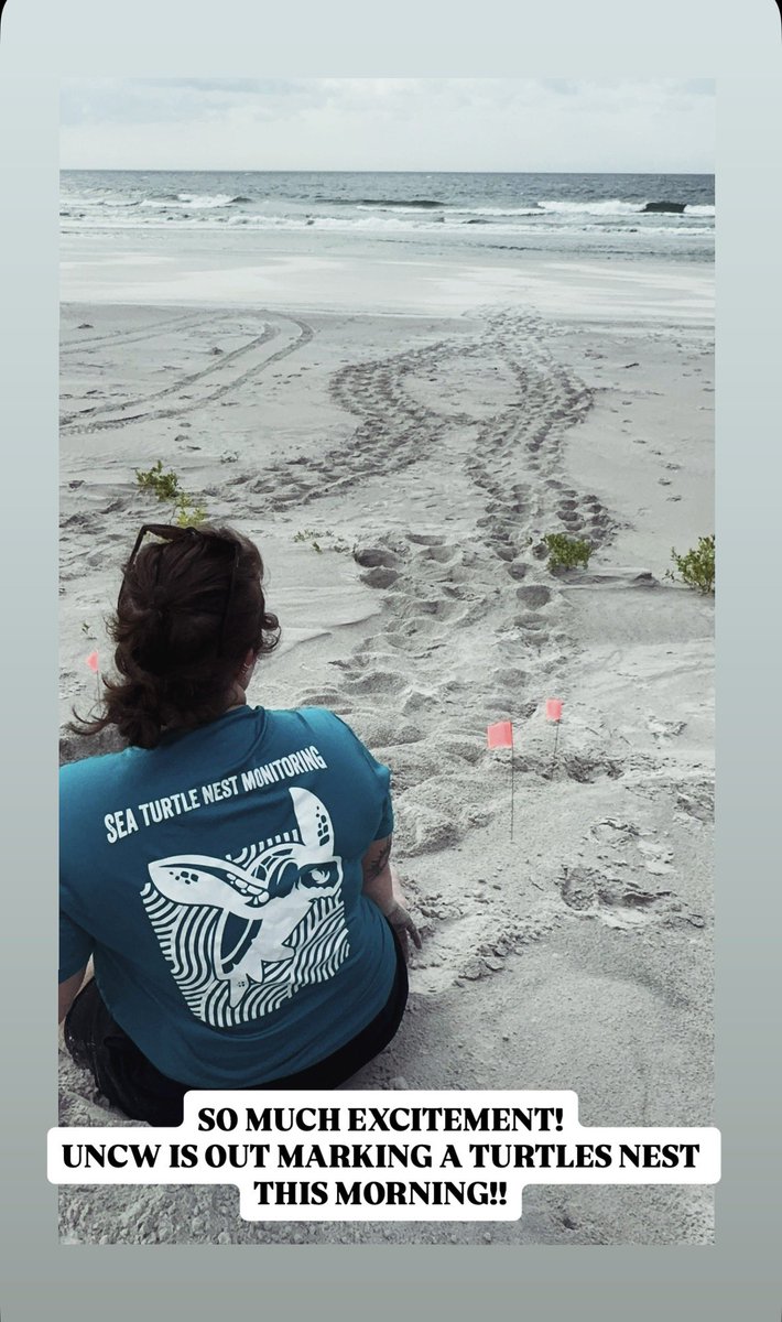 theislandwriter's tweet photo. TURTLE TRACKS THIS MORNING!
Head over to IG to see my updates! @islandwriter8
Surrounded by inspiration! 🤩🎉
#writingcommunity #author #kidlit #island #ocean #publishing #turtles #saveourseas #oneocean https://t.co/9ix84OqYyb