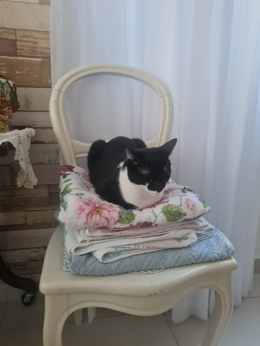 always_halfway's tweet photo. sem condições uma coisa dessa https://t.co/mjYY3O4qcC