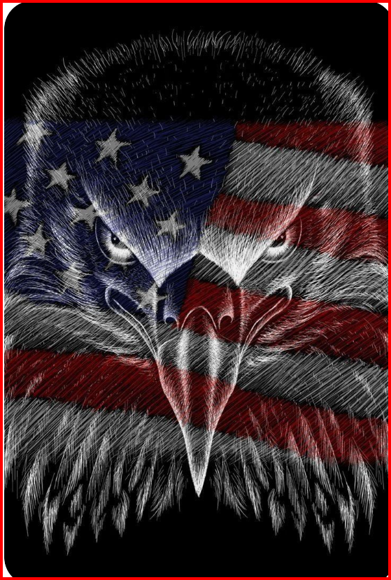thompsonterr's tweet photo. 🇺🇸🇺🇸🇺🇸 https://t.co/5MSnd2EDSs
