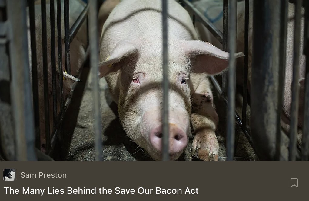 HannahDCox's tweet photo. There’s a corrupt push, buried in the farm bill, to overturn animal welfare laws a number of states have passed that require pigs to be ethically treated in the farming process - what should be a bare minimum standard.

CORPORATE farms are lobbying to undo it, LOCAL farmers support these standards and have already adapted them.

This is the best fact check piece I’ve seen on the Save Our Bacon Act. Please read and act if you feel so compelled.