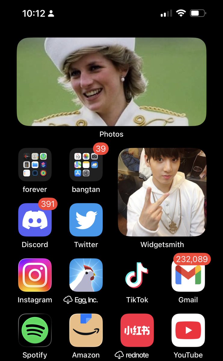 sapphickoo's tweet photo. awesome home screen photo combo. they are twins https://t.co/zViViUSho1