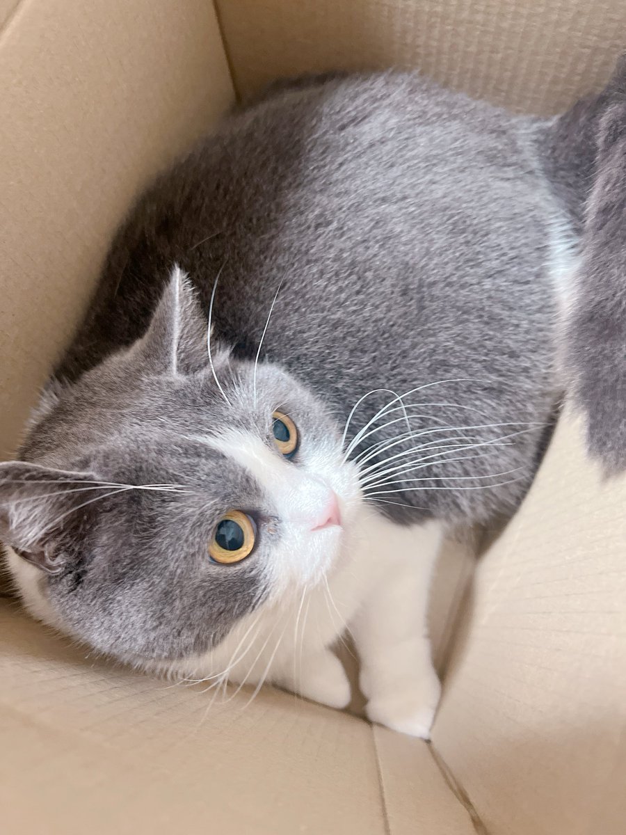 ambrechat33's tweet photo. 📦 https://t.co/58Qr9SMS4J