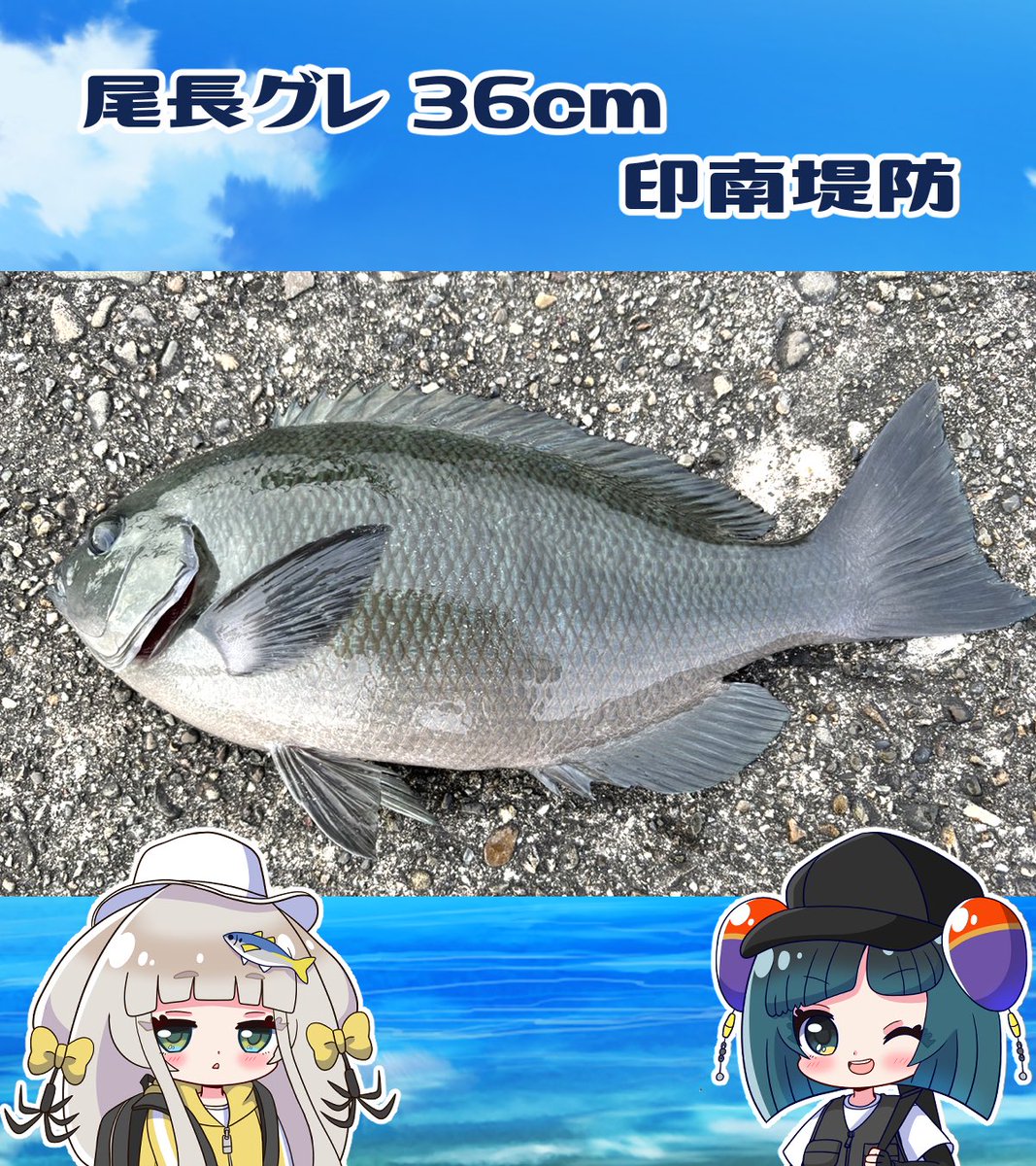 YK釣具工房 (@YKturigukoubou) / Posts / X