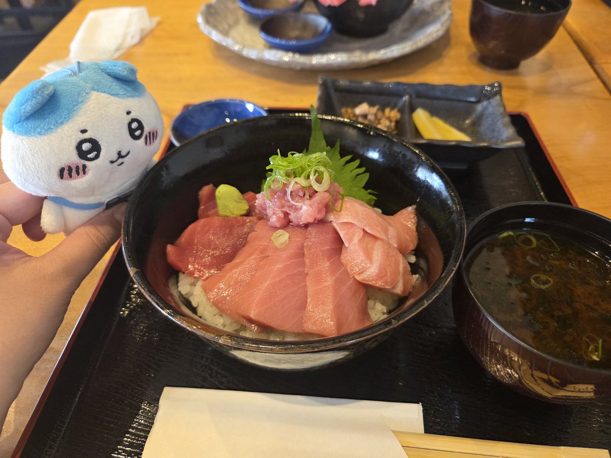 sae_7_2's tweet photo. お昼に食べたマグロ丼めちゃくちゃ美味しすぎてもう食べたい🥺 https://t.co/p6bjnOGZAc