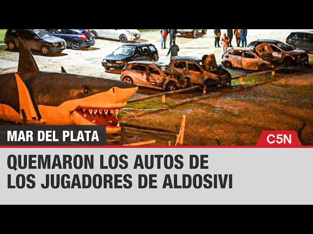 MFlores_19's tweet photo. A favor de la “apretadita” a los portugueses.

Así que si me permiten, iré a intimidar a algún sobrino de Joao Cancelo. https://t.co/8bhSl57SkG
