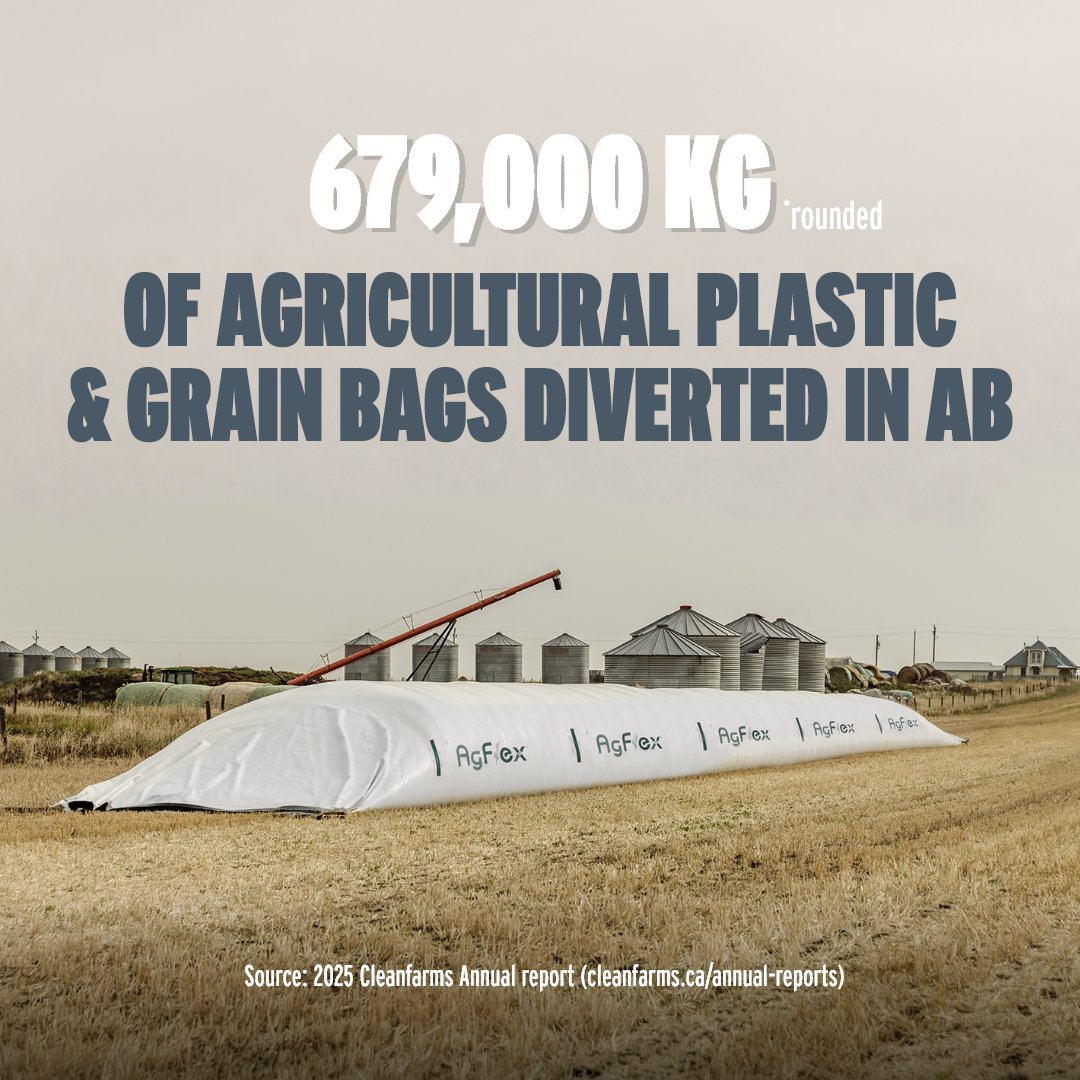 UFAcooperative's tweet photo. 𝗥𝗲𝗰𝘆𝗰𝗹𝗶𝗻𝗴 𝗶𝘀 𝗶𝗻 𝘁𝗵𝗲 𝗯𝗮𝗴! ♻️

𝗗𝗶𝗱 𝘆𝗼𝘂 𝗸𝗻𝗼𝘄? Grain bags, including 𝗔𝗴 𝗙𝗹𝗲𝘅 bags, available through UFA, can be recycled through the 𝗔𝗹𝗯𝗲𝗿𝘁𝗮 𝗔𝗴-𝗣𝗹𝗮𝘀𝘁𝗶𝗰. 𝗥𝗲𝗰𝘆𝗰𝗹𝗲 𝗜𝘁! pilot program into new products, such as silage film. 

Every year, thousands of tonnes of ag-related plastics are collected across the Prairies, keeping plastic out of landfills and putting it back to work. 

Don't let them go to waste, drop off your used grain bags at a @Cleanfarms collection site.

➡️ 𝗚𝗿𝗲𝗮𝘁 𝗻𝗲𝘄𝘀! Ag Flex grain bags are on sale until June 29th. Buy now at https://t.co/niam7Nop2i.
👉 𝗙𝗶𝗻𝗱 𝘆𝗼𝘂𝗿 𝗹𝗼𝗰𝗮𝗹 𝗿𝗲𝗰𝘆𝗰𝗹𝗶𝗻𝗴 𝗼𝗽𝘁𝗶𝗼𝗻 and location here: https://t.co/TC12aHxW4H. 
📰 𝗥𝗲𝗮𝗱 𝘁𝗵𝗲 𝗿𝗲𝗰𝘆𝗰𝗹𝗶𝗻𝗴 𝘀𝘁𝗼𝗿𝘆 at https://t.co/OD6rVG9iCu.  

#Sustainability #OnSaleAtUFA #GrainBag #WestCdnAg #CdnAg #Cleanfarms