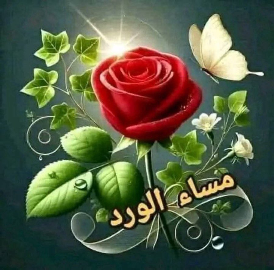 Qrawy2's tweet photo. @GUdVuXbv38VE1HC مساء السعادة 🌹
ربي يحفظك ويسعدك يارب 🌹 https://t.co/MEtb3sWpGM