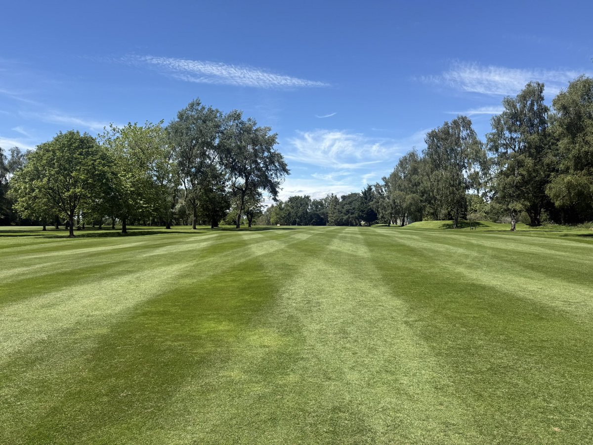 c86low's tweet photo. Another weekend another board competition! Course ramping up ahead of next weeks club championships! #turf #golfclub #greenkeeping https://t.co/qzdDb4obIK