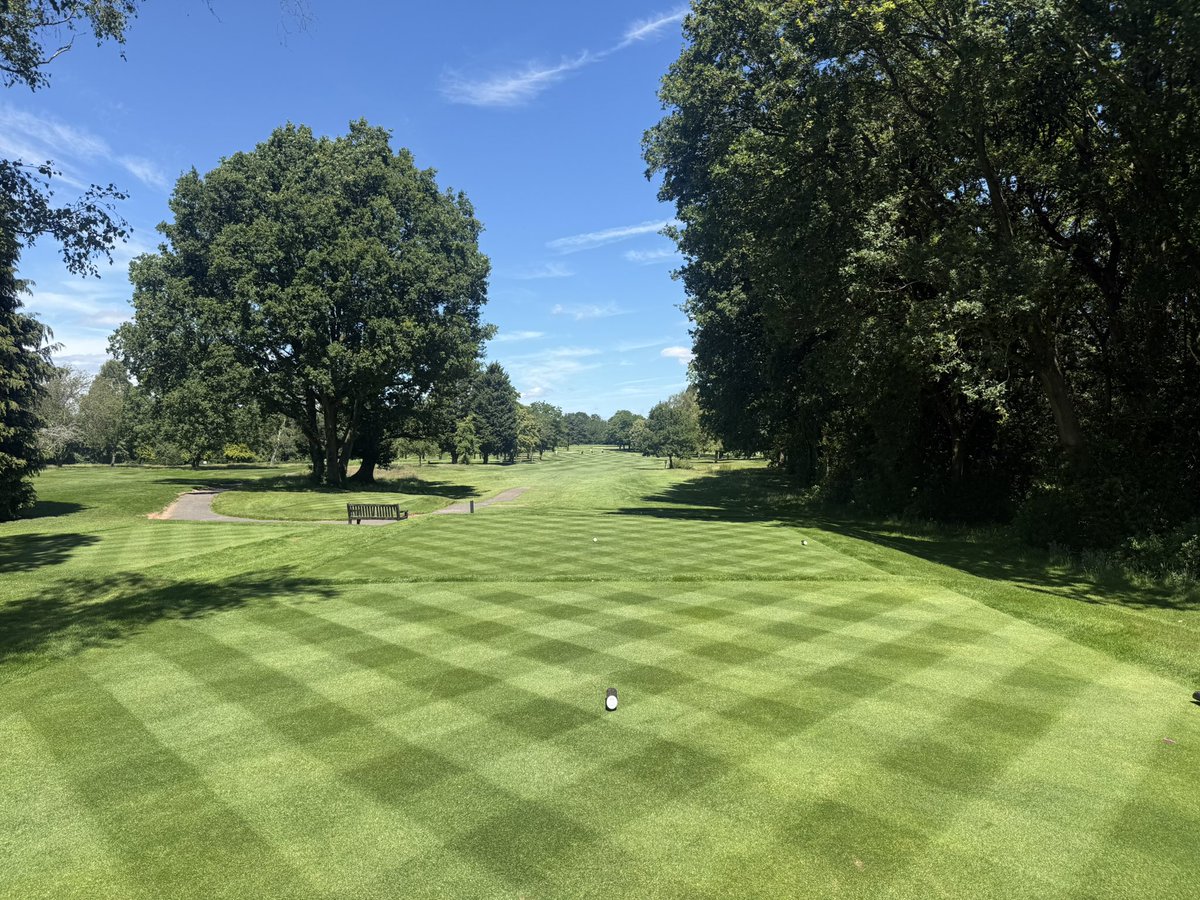 c86low's tweet photo. Another weekend another board competition! Course ramping up ahead of next weeks club championships! #turf #golfclub #greenkeeping https://t.co/qzdDb4obIK