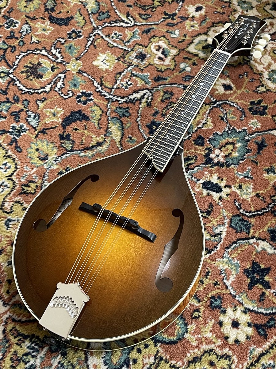 yonemandoler's tweet photo. 新曲プリプロ８曲目。
今日はマンドリン・パートを録りまくり♬
（Collings MT2） https://t.co/LS7kFx589m