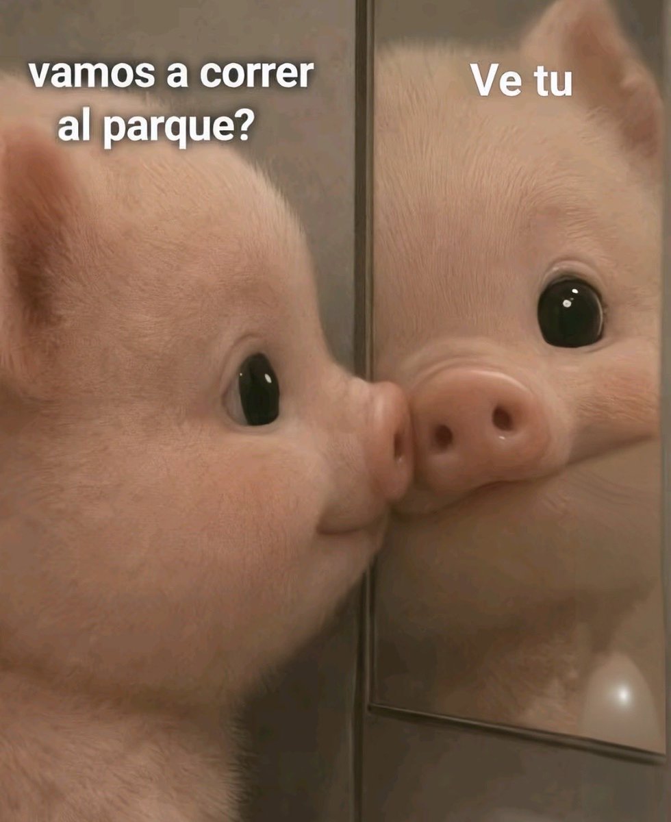andy71soto's tweet photo. Jajajajajajaja.... yo así todos los días 😂🤭🤣🤭😂

#MalditaGordura https://t.co/NhU7TZPV8o