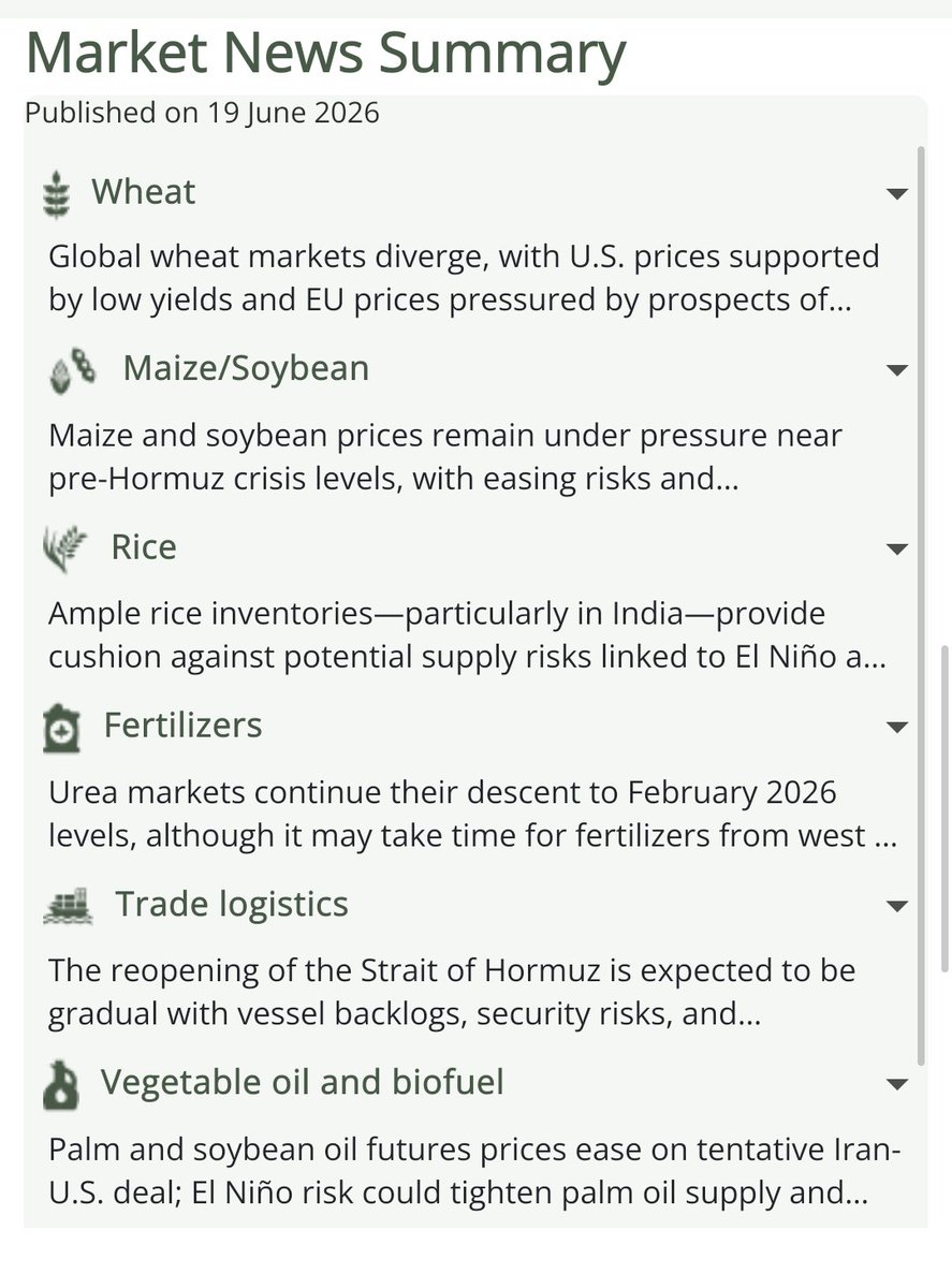 AMISoutlook's tweet photo. AMIS Weekly Market News Summary - Week 25 - June 2026   Key updates on #wheat, #maize, #rice and policy trends this week.   
   
👉Read it here: https://t.co/NsEfnyUM69

#TradeLogistics #Fertilizer #Vegoil #PolicyDevelopment #OOAT https://t.co/VDVXfw3F9K