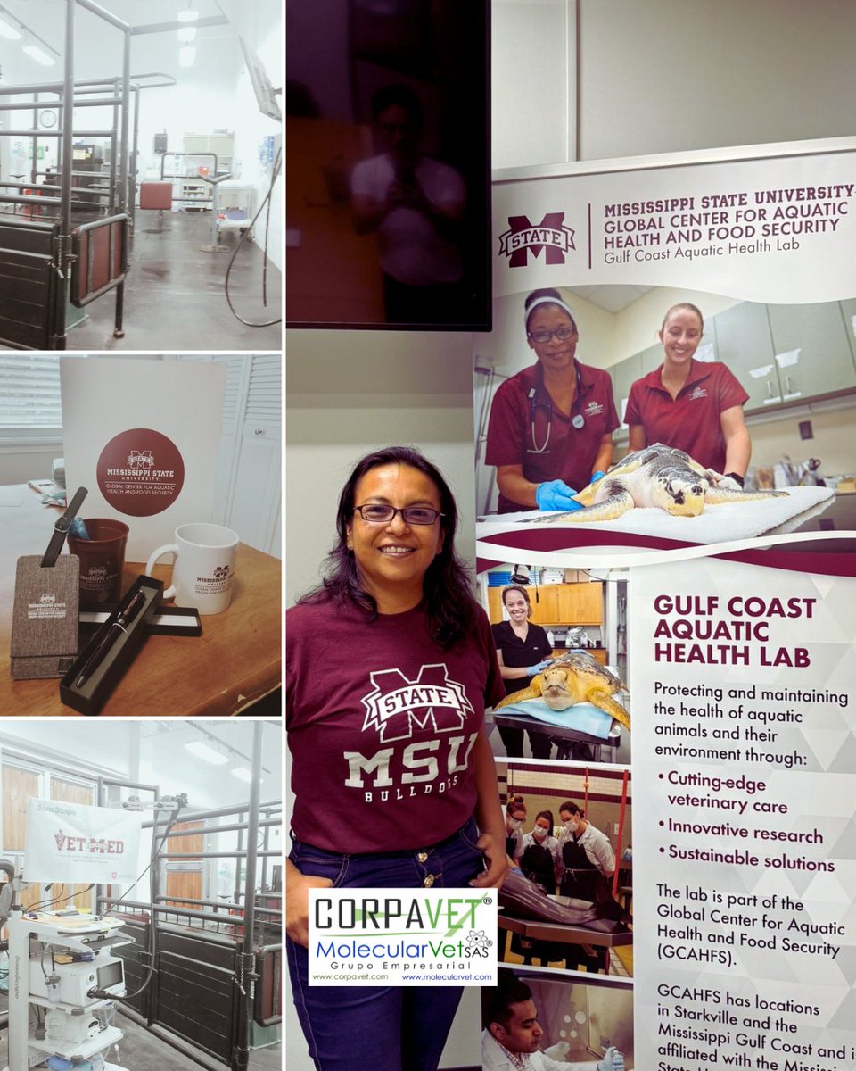 CORPAVET's tweet photo. 🌎🤝 Gracias al Dr. Stephen Reichley y al Global Center por su hospitalidad. Seguimos fortaleciendo alianzas para impulsar la investigación, la innovación y el desarrollo de la acuicultura en las Américas. 🐟💙
#Acuicultura #Innovación https://t.co/mRb7YOjvHI