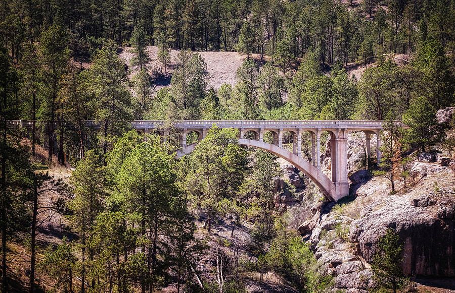 joancarroll's tweet photo. Beaver Creek Bridge Wind Cave National Park SD! https://t.co/WRosn9Iz5y #bridge #arch #landscape #beavercreek #windcave #nationalpark #nationalregister #historic #gorge #canyon #forest #rocky #FAArtist #buyart #HomeDecor #wallart #artforsale #artstore #travel #BuyIntoArt #AYearForArt #wallartforsale #giftideas @joancarroll
