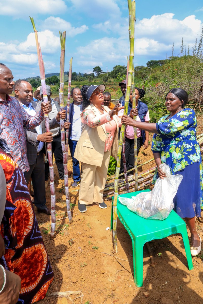 Wavinya_Ndeti's tweet photo. Recognizing the critical importance of surface water harvesting in our dry regions, where rainfall is often insufficient and unpredictable, we successfully desilted the Kwa Mwavu Earth Dam in Kola Ward.

With a capacity of 1,200 cubic meters, the dam continues to serve as a vital source of water for residents of Katanga, Mbusyani, and Makongo villages. It supports domestic water needs, small-scale irrigation, livestock rearing, and food production, thereby contributing significantly to local livelihoods.

Continued investment in water harvesting infrastructure remains essential for building climate resilience, strengthening food security, and improving the socio-economic well-being of our communities. Through such initiatives, we are helping ensure sustainable access to water and creating opportunities for increased agricultural productivity and economic growth.