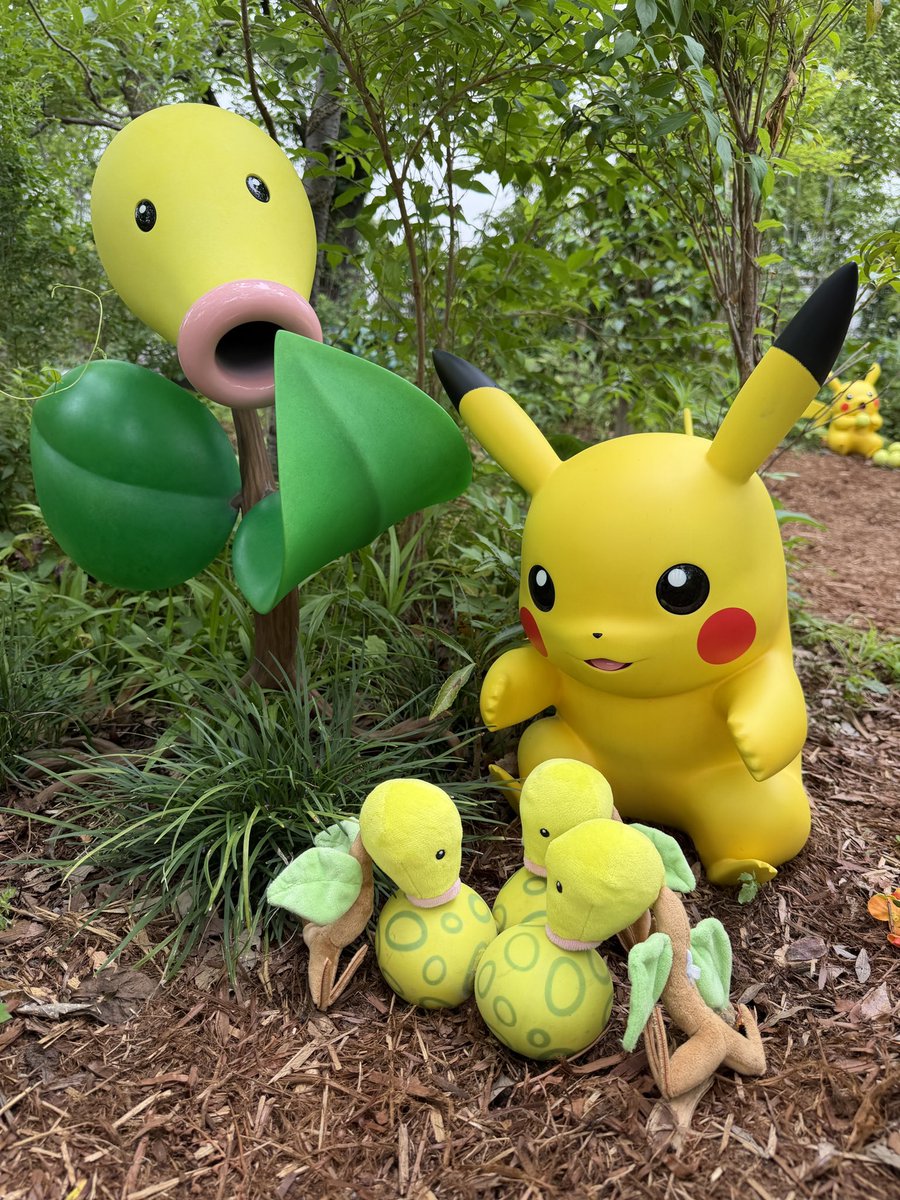 meta_llic_'s tweet photo. #ポケパークカントー  #マダツボミ https://t.co/2bbxgQy6Yg