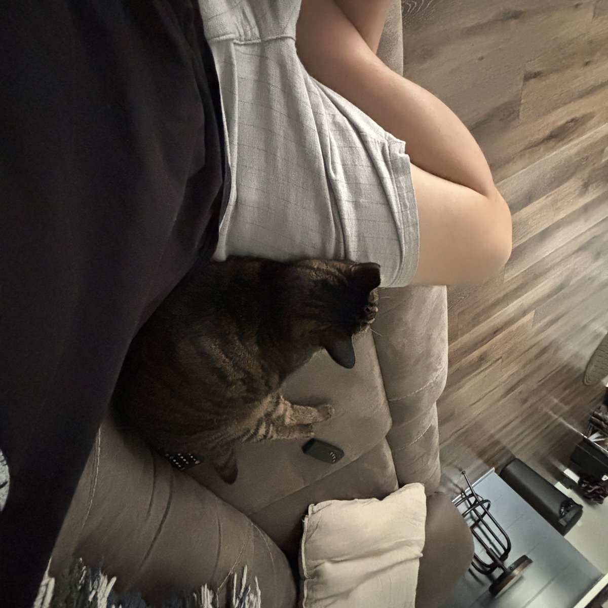 MercuryHigh91's tweet photo. Playing #MHW with my cat Lucy. https://t.co/way3XXoYAW
