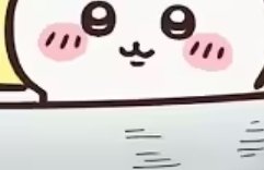 퍙 tweet media