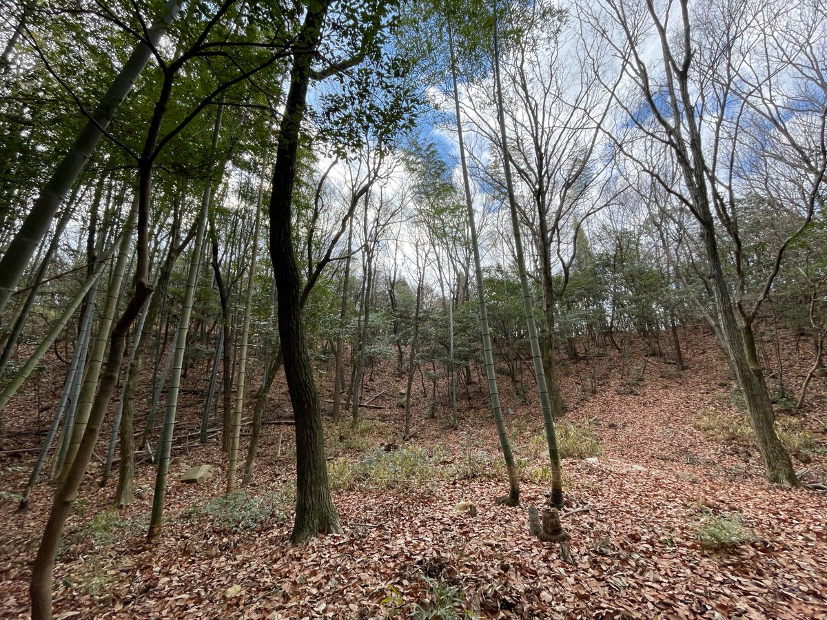 haniwo1910's tweet photo. 金蔵山古墳が国の史跡に！山の頂部にあるので墳形の保存状態が良く、竪穴式石室にも入れる体験型の前方後円墳です。出土品もすごい！ぜひ訪れてみてください！
https://t.co/B9TqGZuv05 https://t.co/Cf64X2QijN