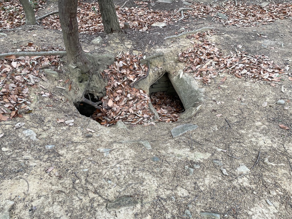 haniwo1910's tweet photo. 金蔵山古墳が国の史跡に！山の頂部にあるので墳形の保存状態が良く、竪穴式石室にも入れる体験型の前方後円墳です。出土品もすごい！ぜひ訪れてみてください！
https://t.co/B9TqGZuv05 https://t.co/Cf64X2QijN