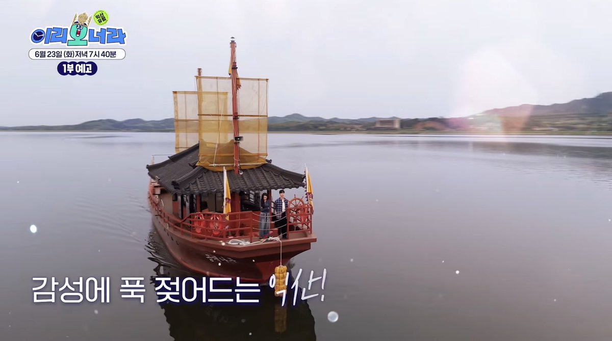 윤양이손 tweet media