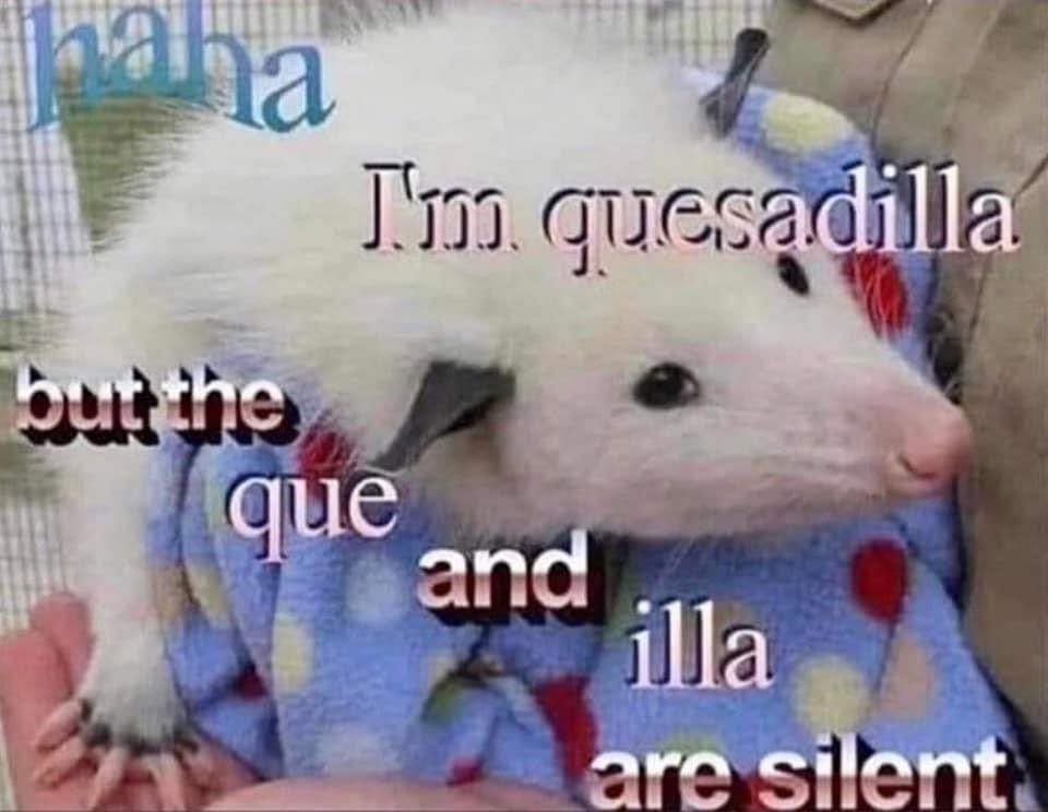 VirginOpossum's tweet photo. https://t.co/8JmgLx7us1