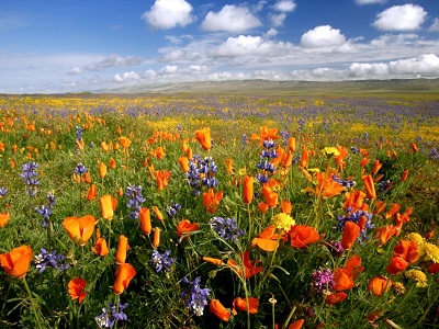 gelizondo12's tweet photo. PARA LA ORACIÓN PERSONAL DEL SACERDOTE CON BASE EN EL EVANGELIO DEL DÍA.
https://t.co/BjNKbyeeBM
«No se preocupen por el día de mañana»
Sábado 20 de junio de 2026
ABANDONADOS EN DIOS
La Compañía de María, Madre de los Sacerdotes
#Sacerdotes #Oracion
@ArquidiocesisT
@LSacerdotes https://t.co/ksIsCnNgLk