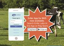 EnferLabs's tweet photo. During calving, why not download our Enfer Labs App, search Enfer in the App or Play store, you can check your balance, make payment and view results. Please do not hesitate to contact us on 045 983800 for further details.🐄 https://t.co/l4Iof9RHWE
