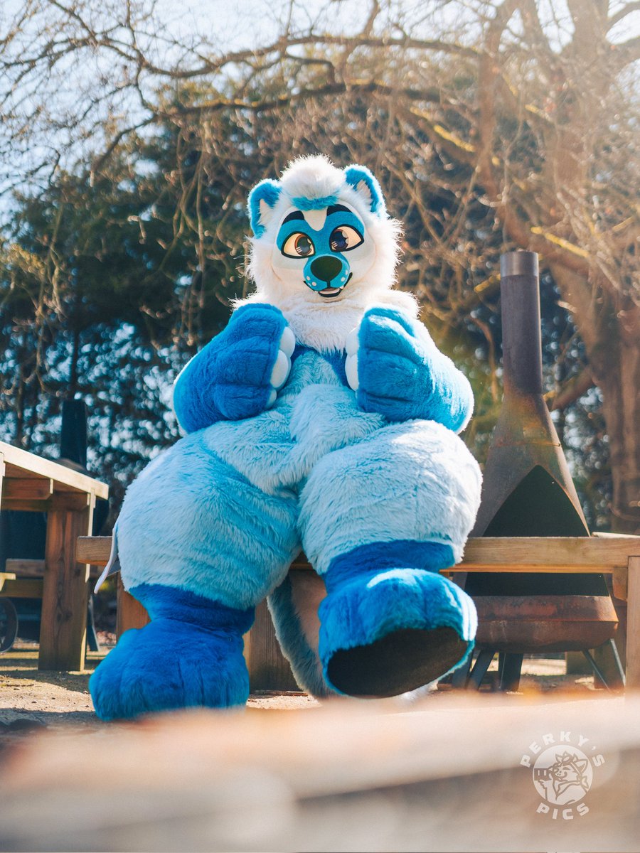 ThePerkyRiolu's tweet photo. Take a seat with me this #FursuitFriday https://t.co/IOB2SpgK2A