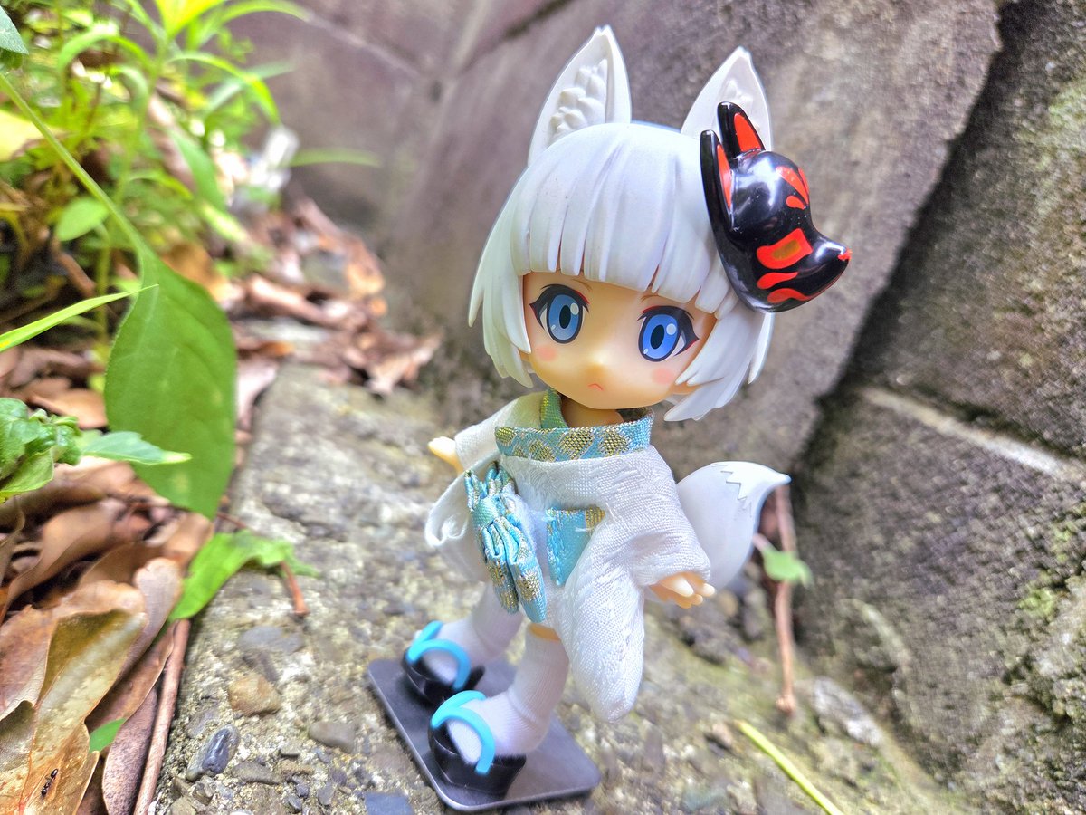 キューポッシュ くろきつねの写真ばかり撮ってる気がするので、今日は