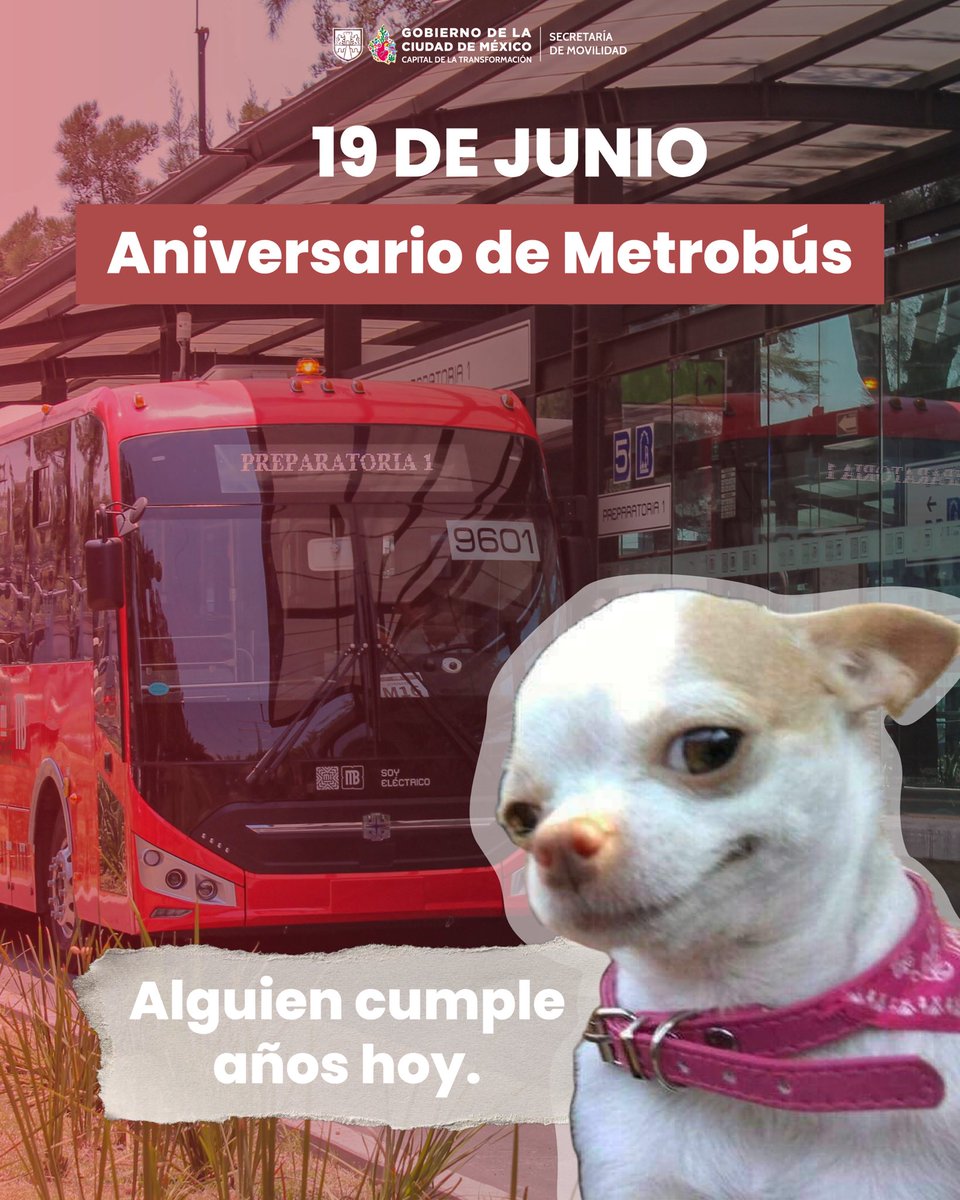 LaSEMOVI's tweet photo. 🥳¡Feliz cumpleaños @MetrobusCDMX!🎂🎊

#21Años de innovar y transformar la movilidad de miles de personas de la ciudad. 🏙️ ⚡️🚍

Un transporte sustentable y eficiente que beneficia a todas y todos. 🙌🌎 https://t.co/KbLumnWmx9