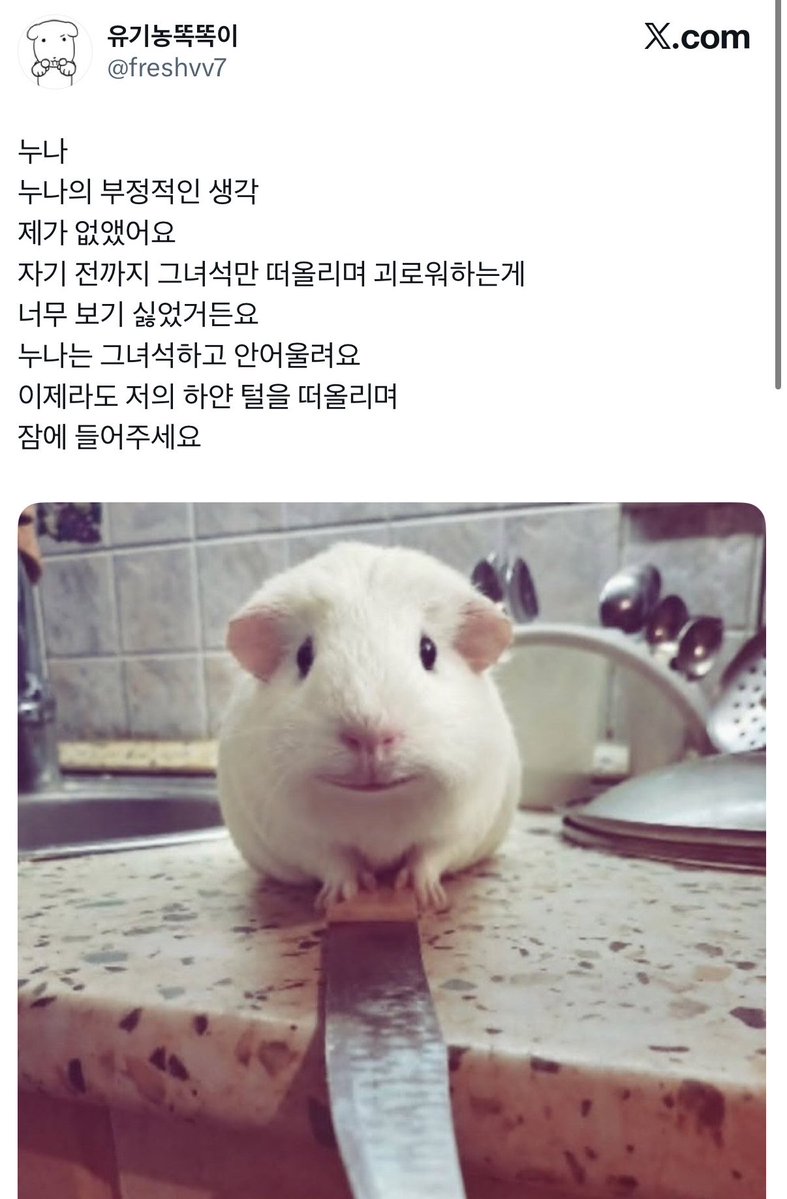 goodwalwar1's tweet photo. 저의 하얀 털을 떠올리며 잠에 들어주세요..
굿나잇~(초딩톤으로 https://t.co/DW6WRFQBKv