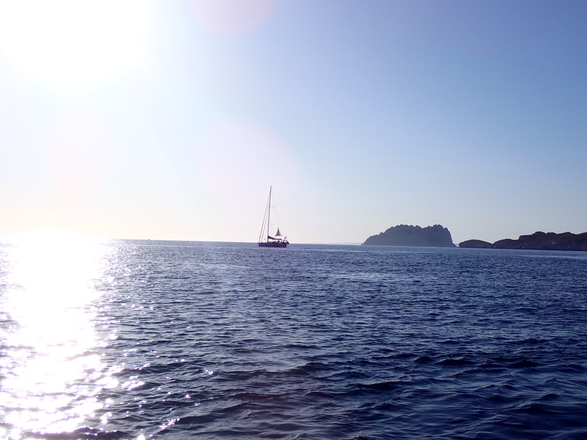 DistriRogue's tweet photo. Magnifique patrouille en mer encore *-* Je partage les images, après j'expliquerai au mieux les règles de plaisance et ce que l'on constate sur le terrain : https://t.co/buFDuAQz4x