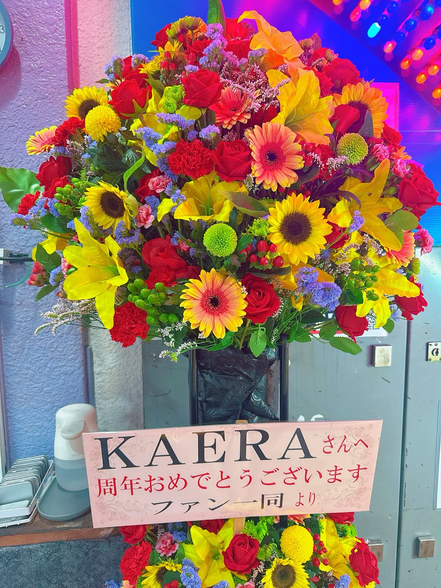 eight8prince's tweet photo. ６中楽前🐼

今週は
㊗️カエちゃん周年週🎉

劇場で何度か
「そのバッグ、カエちゃんの？👜」
って聞かれました👀

普段使ってるのは“カエラ”のトートバッグ
そう、木村カエラのカエラです。笑

間違いでもない気がして
「あっ！そうです😊」

偶然ですが‥

明日はいよいよ楽日🌈 https://t.co/7nLmX73AGT