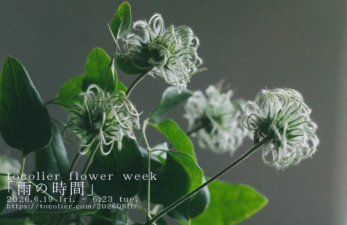 tocolier's tweet photo. 【6月のflower week、6/23(火)まで開催中！】
トコリエのアトリエでは本日から生花販売と花撮影のイベント、tocolier flower weekがスタートしました✨️
今朝は市場に行ってお花や観葉植物、鉢カバーなど色々仕入れてきました🌿

flower weekについて
https://t.co/gs4ZhylJ8W https://t.co/7IQAHM398M