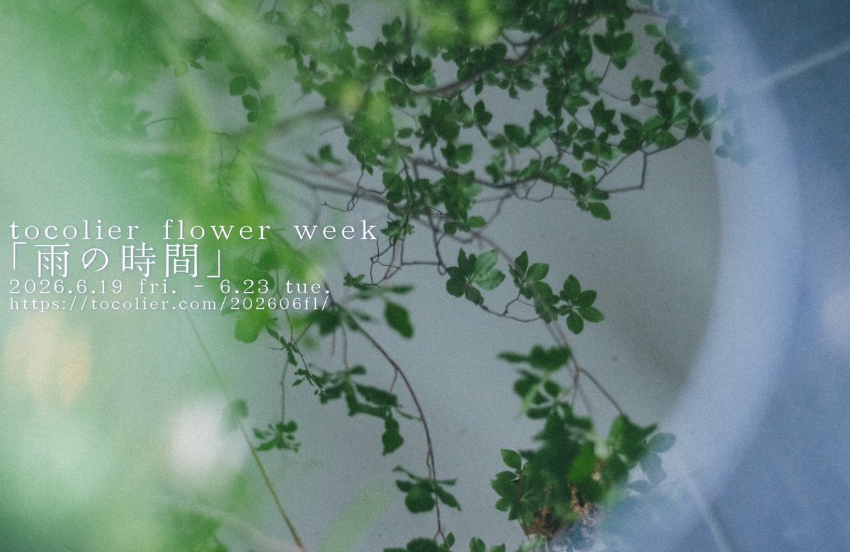 tocolier's tweet photo. 【6月のflower week、6/23(火)まで開催中！】
トコリエのアトリエでは本日から生花販売と花撮影のイベント、tocolier flower weekがスタートしました✨️
今朝は市場に行ってお花や観葉植物、鉢カバーなど色々仕入れてきました🌿

flower weekについて
https://t.co/gs4ZhylJ8W https://t.co/7IQAHM398M