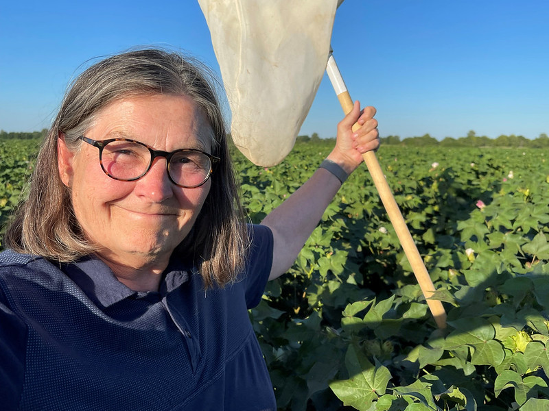 AginArk's tweet photo. What started as a childhood fascination with ladybugs, grew into a career helping #cotton farmers in her beloved Arkansas delta. Now Tina Teague is looking toward retirement.
https://t.co/lezKXyP1HU https://t.co/VwFh9bk3Nh