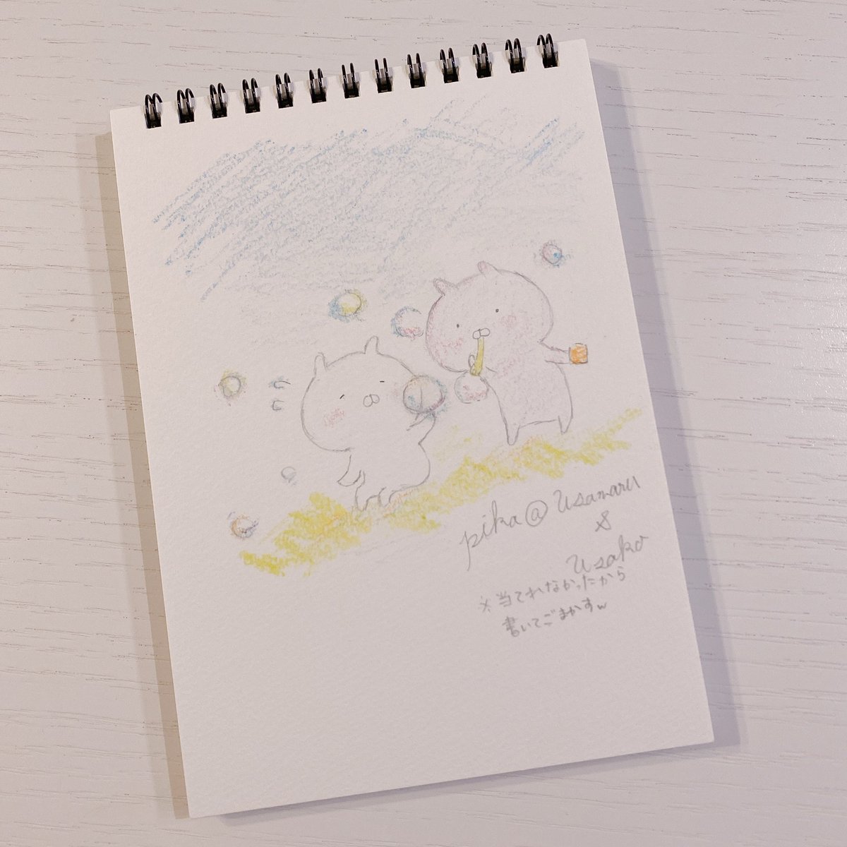 pika@うさまる&うさこ (@pika5s) / Posts / X